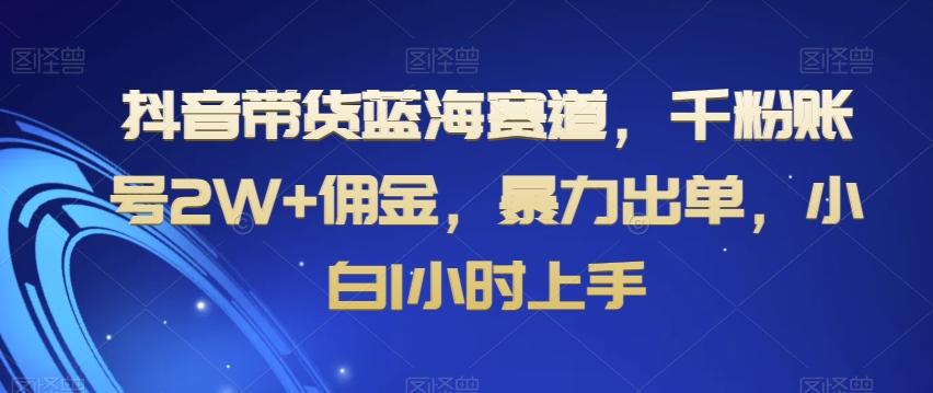 抖音带货蓝海赛道,千粉账号2W+佣金,暴力出单,小白1小时上手【揭秘】-吾爱云课堂