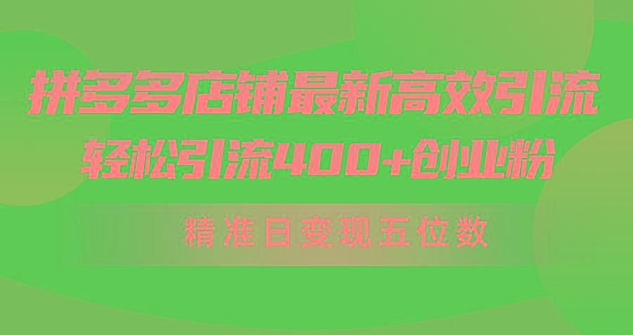 (10041期)拼多多店铺最新高效引流术,轻松引流400+创业粉,精准日变现五位数!-吾爱云课堂