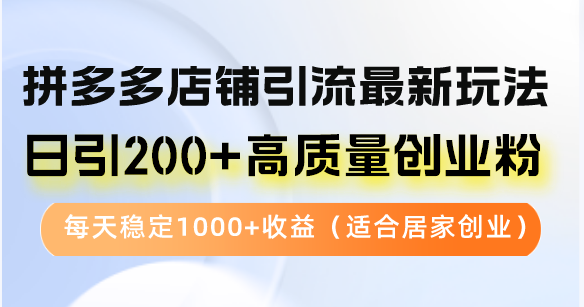 拼多多店铺引流最新玩法,日引200+高质量创业粉,每天稳定1000+收益(...-吾爱云课堂