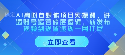 AI高阶自媒体项目实操课,讲透账号运营底层逻辑,从发布视频到规避违规一网打尽-吾爱云课堂