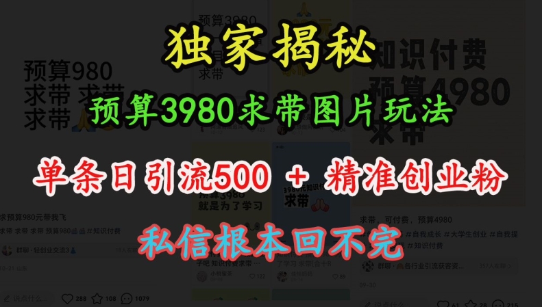 预算3980求带 图片玩法,单条日引流500+精准创业粉,私信根本回不完-吾爱云课堂