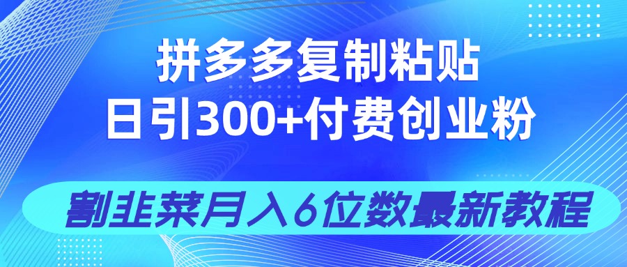拼多多复制粘贴日引300+付费创业粉,割韭菜月入6位数最新教程!-吾爱云课堂