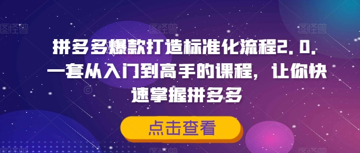 拼多多爆款打造标准化流程2.0,一套从入门到高手的课程,让你快速掌握拼多多-吾爱云课堂