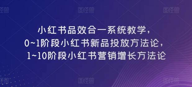 小红书品效合一系统教学,0~1阶段小红书新品投放方法论,1~10阶段小红书营销增长方法论-吾爱云课堂
