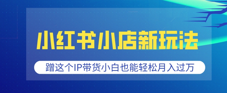 小红书小店新玩法,蹭这个IP带货,小白也能轻松月入过W【揭秘】-吾爱云课堂