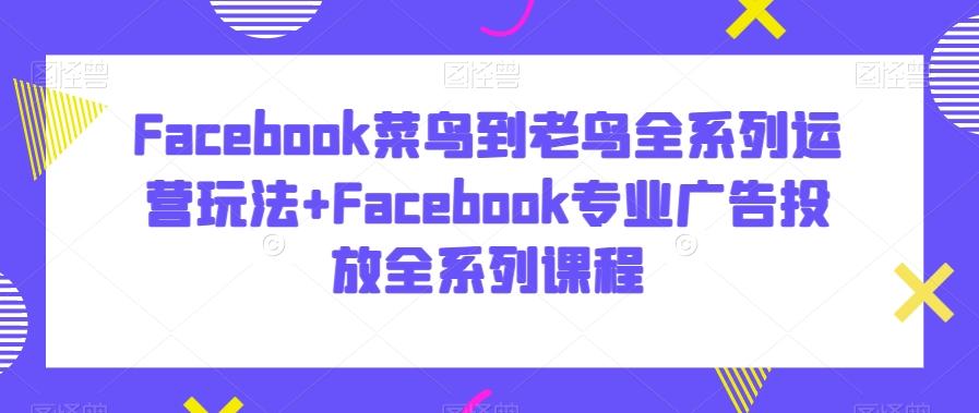 Facebook菜鸟到老鸟全系列运营玩法+Facebook专业广告投放全系列课程-吾爱云课堂