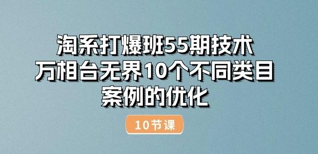 淘系打爆班55期技术:万相台无界10个不同类目案例的优化(10节)-吾爱云课堂