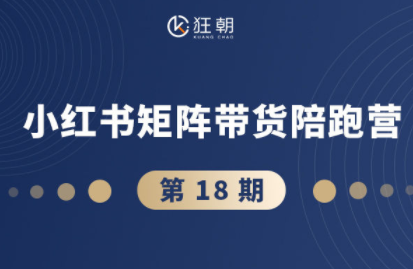 盗坤·抖音小红书视频号短视频带货与直播变现(11-18期)-吾爱云课堂