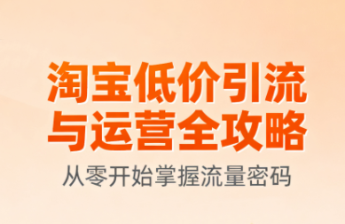 淘宝低价引流与运营全攻略(更新9月)-吾爱云课堂