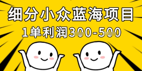 细分小众蓝海项目,一单利润3张,每月收入稳定过1w+-吾爱云课堂
