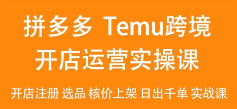 2024Temu最新玩法，Temu跨境开店运营实操课，开店注册/选品/核价上架/日出千单实战课-吾爱云课堂