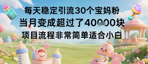 每天稳定引流30个宝妈粉当月变成超过了1W+项目流程非常简单适合小白-吾爱云课堂