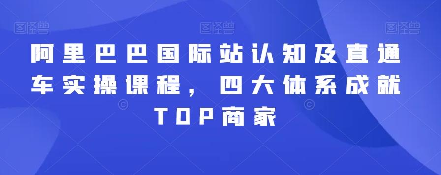 阿里巴巴国际站认知及直通车实操课程,四大体系成就TOP商家-吾爱云课堂