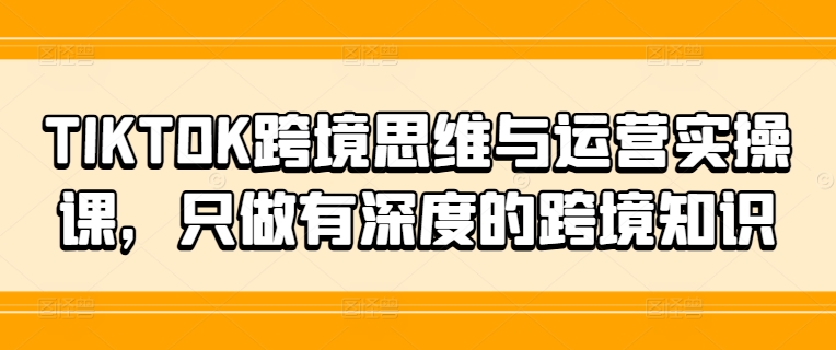 TIKTOK跨境思维与运营实操课,只做有深度的跨境知识-吾爱云课堂
