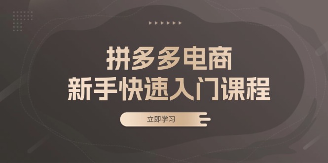 拼多多电商新手快速入门课程:涵盖基础、实战与选款,助力小白轻松上手-吾爱云课堂