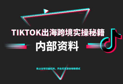 TikTok跨境电商0-1搭建运营(更新10月)-吾爱云课堂