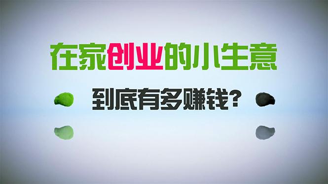 在家创业,日引300+创业粉,一年收入30万,闷声发财的小生意,比打工强-吾爱云课堂