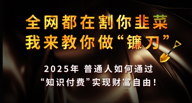 全网都在割你韭菜,我来教你做镰刀,2025年普通人如何通过 知识付费 实现财F自由【揭秘】-吾爱云课堂