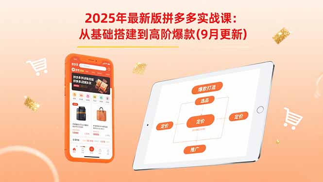 2025年最新版拼多多实战课：从基础搭建到高阶爆款(9月更新-吾爱云课堂