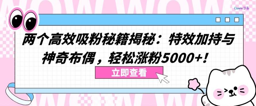两个高效吸粉秘籍揭秘:特效加持与神奇布偶,轻松涨粉5000+【揭秘】-吾爱云课堂