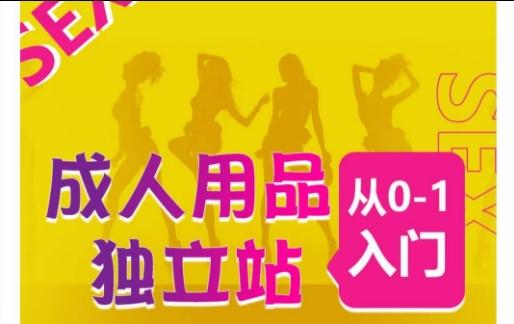 成人用品独立站从0-1入门,成品独立站运营全流程教学,七大好卖成品独立站推荐-吾爱云课堂
