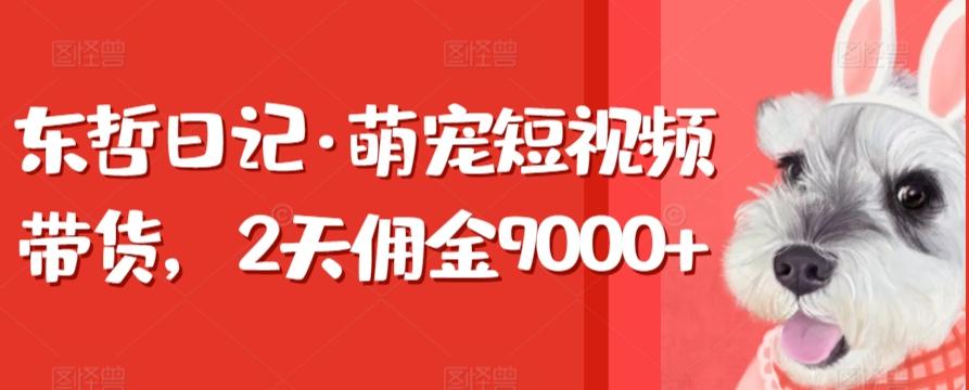 东哲日记·萌宠短视频带货,2天佣金9000+-吾爱云课堂