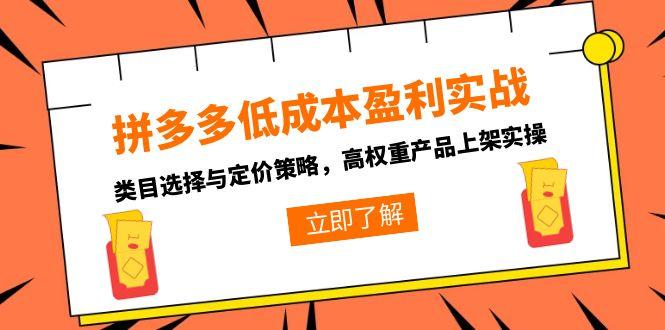 拼多多低成本盈利实战,类目选择与定价策略,高权重产品上架实操-吾爱云课堂