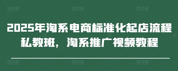 2025年淘系电商标准化起店流程私教班,淘系推广视频教程-吾爱云课堂