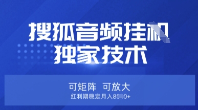 【搜狐音频挂G】独家技术,可矩阵可放大,红利期稳定月入8k【揭秘】-吾爱云课堂