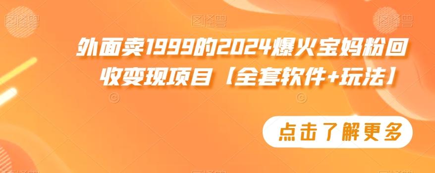 外面卖1999的2024爆火宝妈粉回收变现项目【全套软件+玩法】【揭秘】-吾爱云课堂