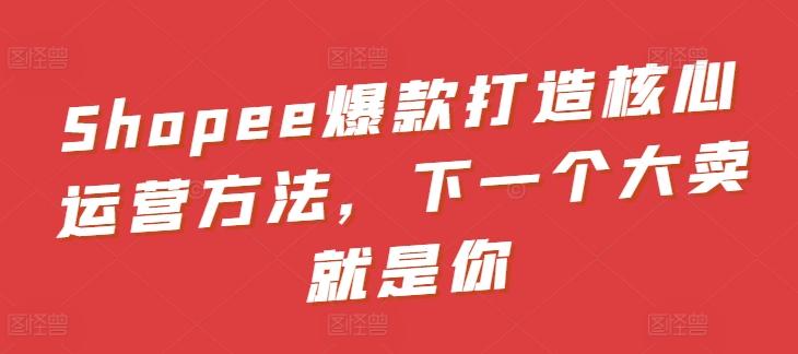 Shopee爆款打造核心运营方法,下一个大卖就是你-吾爱云课堂