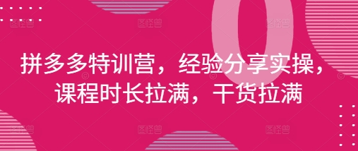 拼多多特训营，经验分享实操，课程时长拉满，干货拉满(更新25年4月)-吾爱云课堂