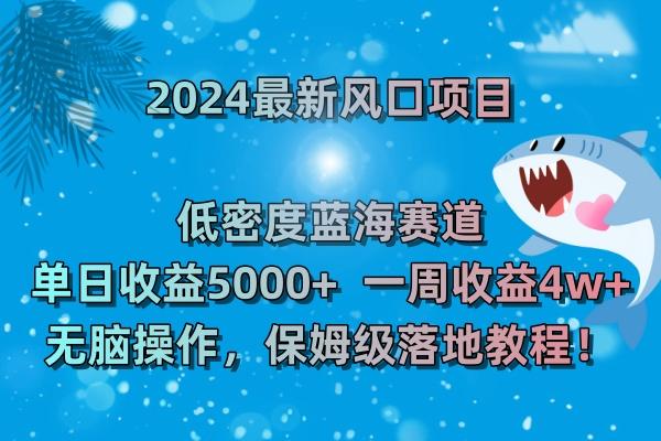 (8545期)2024最新风口项目 低密度蓝海赛道,日收益5000+周收益4w+ 无脑操作,保...-吾爱云课堂