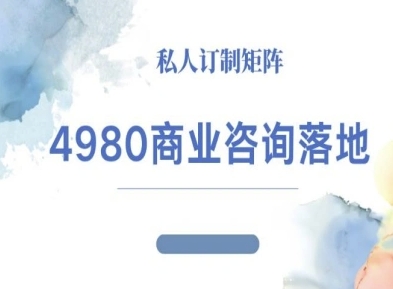 4980商业咨询师落地课程-ip运营高客单教程-吾爱云课堂