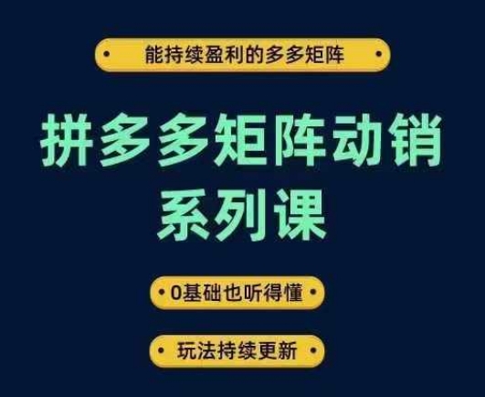 拼多多矩阵动销系列课,能持续盈利的多多矩阵,0基础也听得懂,玩法持续更新-吾爱云课堂