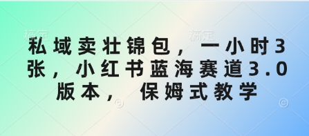私域卖壮锦包,一小时3张,小红书蓝海赛道3.0版本, 保姆式教学-吾爱云课堂
