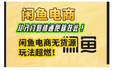 闲鱼电商实战课,从入门到精通秘籍在此,闲鱼电商无货源玩法超燃!-吾爱云课堂