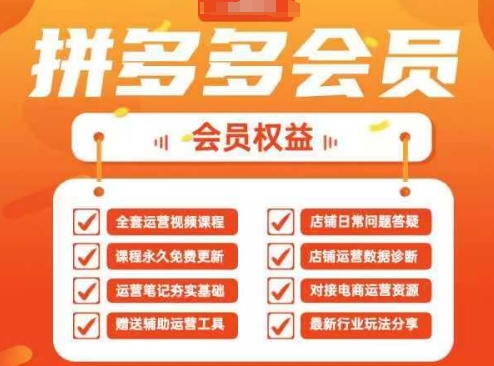 2025拼多多运营实战课,40节全流程教学,覆盖拼多多运营全链路-吾爱云课堂
