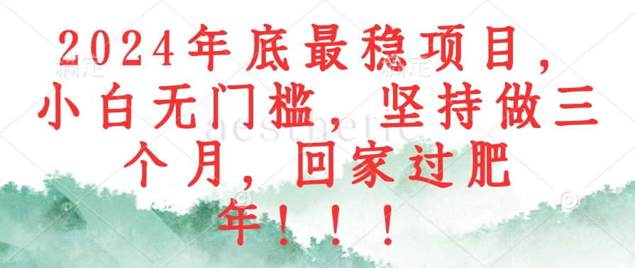 2024年底最稳项目,小白无门槛,坚持做三个月,回家过肥年!!!-吾爱云课堂