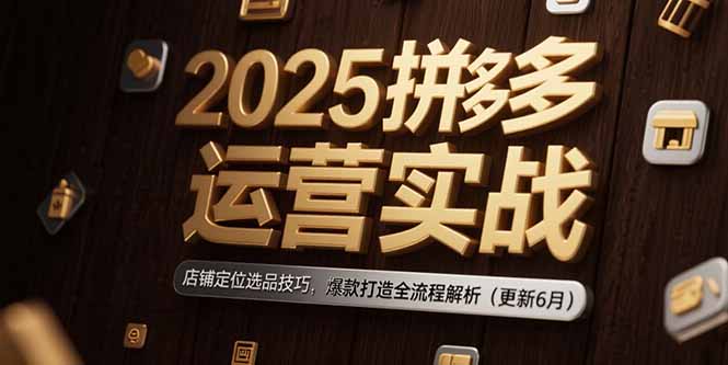 2025拼多多运营实战:店铺定位选品技巧,爆款打造全流程解析(更新6月-吾爱云课堂