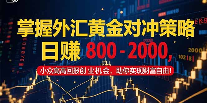 掌握外汇黄金对冲策略,日赚 800 - 2000,小众高回报创业机会,助你实...-吾爱云课堂