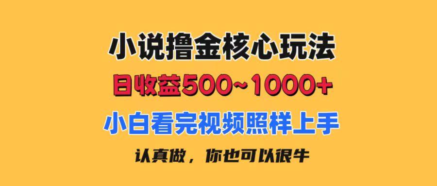 小说撸金核心玩法,日收益500-1000+,小白看完照样上手,0成本有手就行-吾爱云课堂