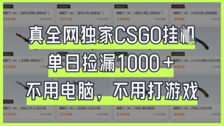 真全网独家CSGO挂G,单日捡漏1k+【揭秘】-吾爱云课堂