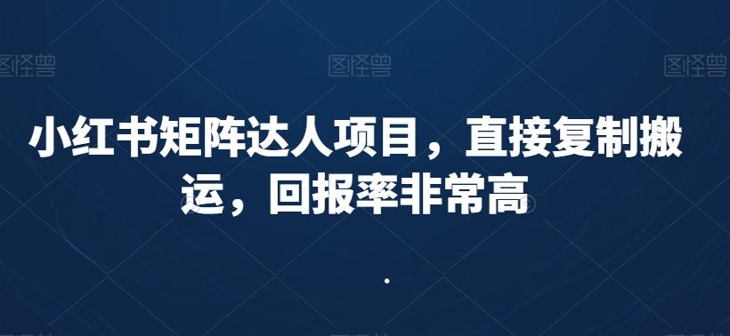 小红书矩阵达人项目,直接复制搬运,回报率非常高-吾爱云课堂
