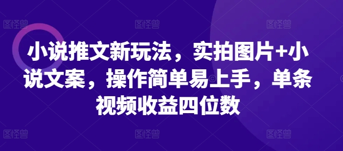 小说推文新玩法,实拍图片+小说文案,操作简单易上手,单条视频收益四位数-吾爱云课堂