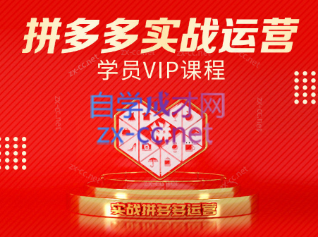 推易电商·拼多多实战运营课(更新2025月)-吾爱云课堂