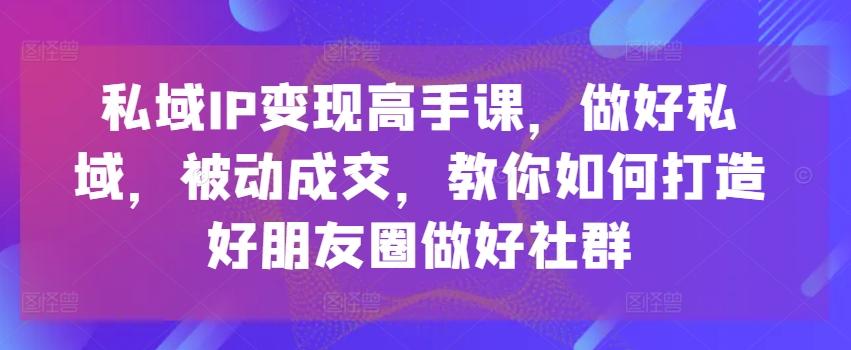私域IP变现高手课,做好私域,被动成交,教你如何打造好朋友圈做好社群-吾爱云课堂