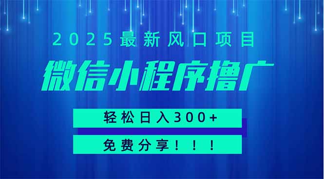微信小程序撸广,最新风口项目,日入300+ 免费分享 可批量操作 小白可...-吾爱云课堂