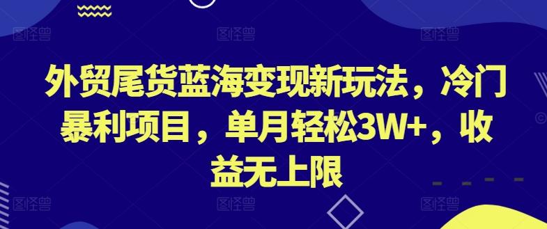 外贸尾货蓝海变现新玩法，冷门暴利项目，单月轻松3W+，收益无上限【揭秘】-吾爱云课堂