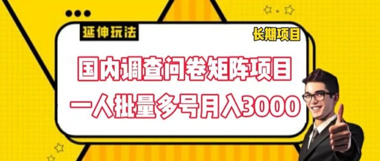 国内调查问卷矩阵项目，一人批量多号月入3000【揭秘】-吾爱云课堂